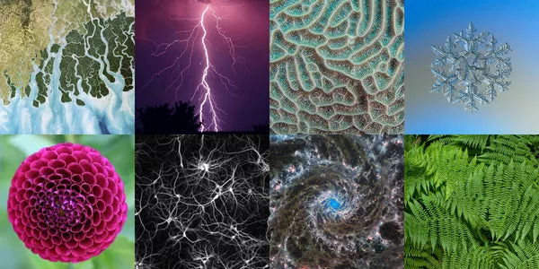 Fractal Geometry: Nature's Infinite Patterns